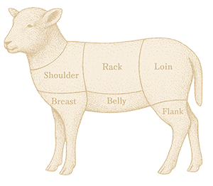 Lamb icon